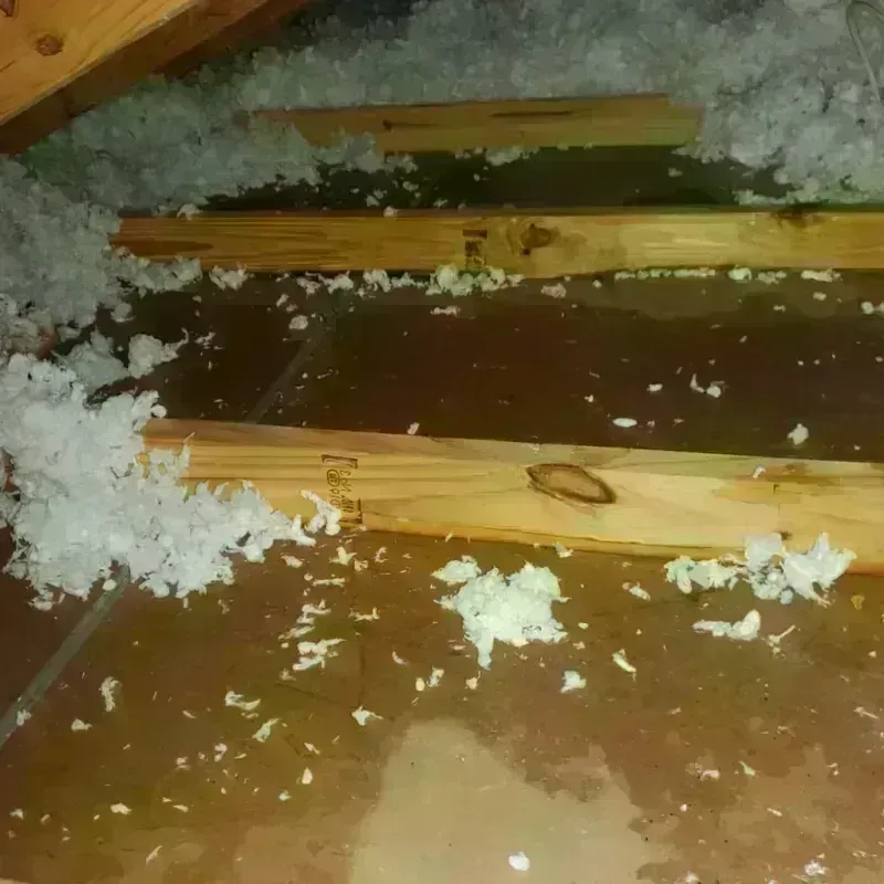 Attic Water Damage in Russell County, KS