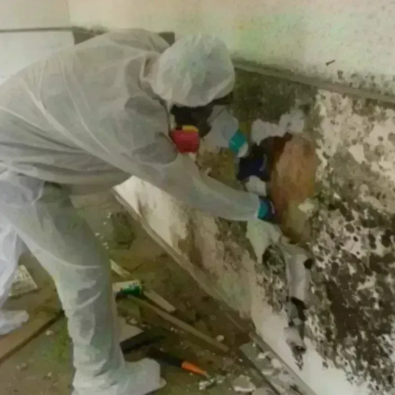 Mold Remediation and Removal in Russell County, KS