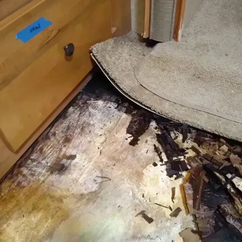 Best Wood Floor Water Damage Service in Russell County, KS